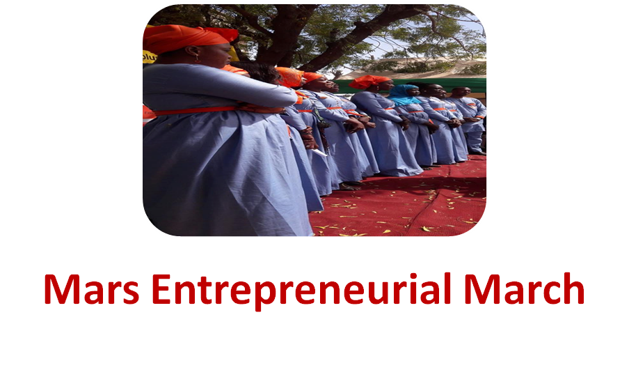 Mars entrepreneurial march
